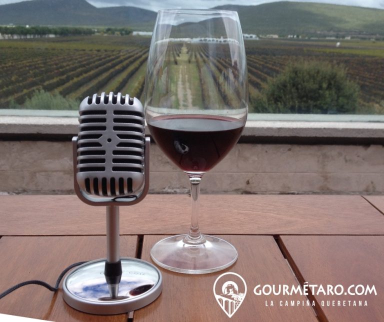 industria vinicola Gourmetaro-Micro-Copa-768x644