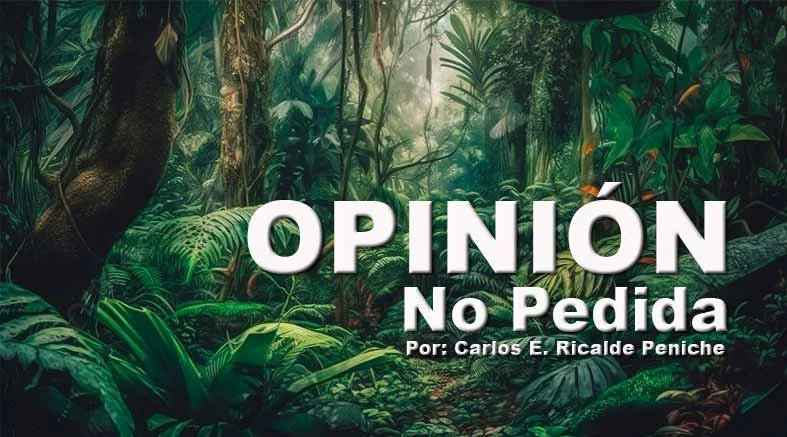 salvese opinion no pedida
